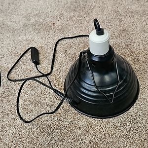 Reptile heat lamp